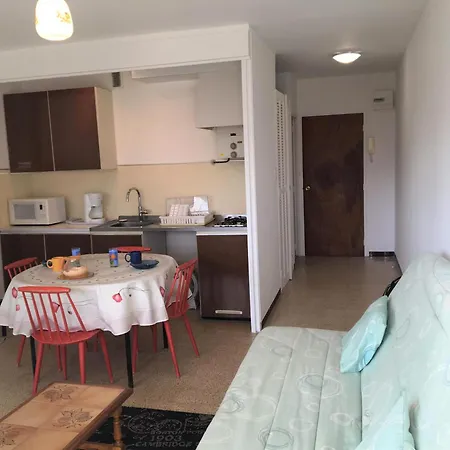Grand Avec Terrasse Proche Du Port De Cyprien -3rm168 Apartment