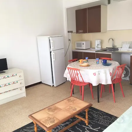 Apartment Grand Avec Terrasse Proche Du Port De Cyprien -3rm168